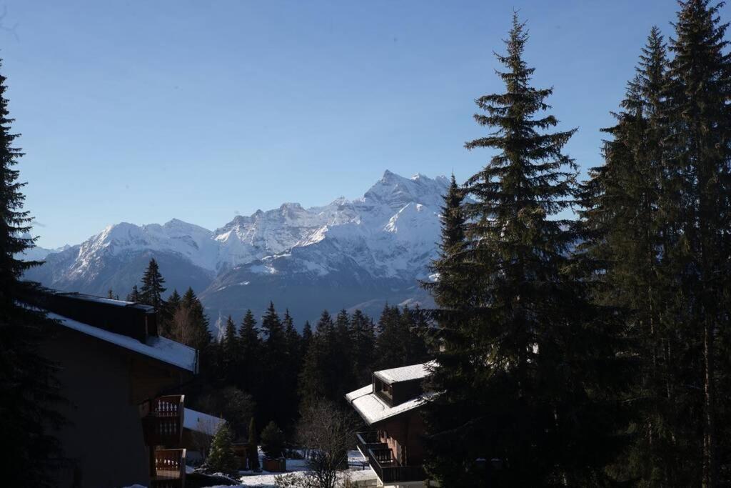 Route De La Residence Villars-sur-Ollon Eksteriør billede