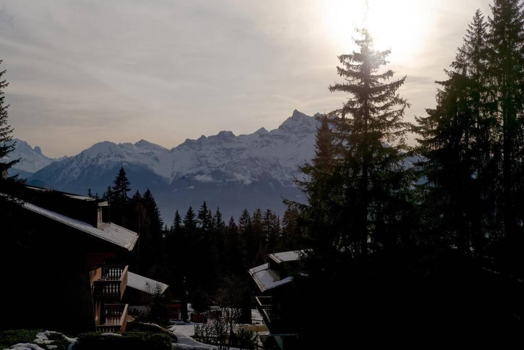 Route De La Residence Villars-sur-Ollon Eksteriør billede