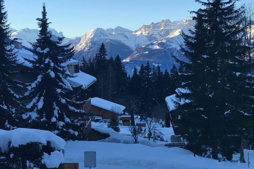 Route De La Residence Villars-sur-Ollon Eksteriør billede
